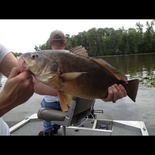 A photo of Chase Rainey's catch