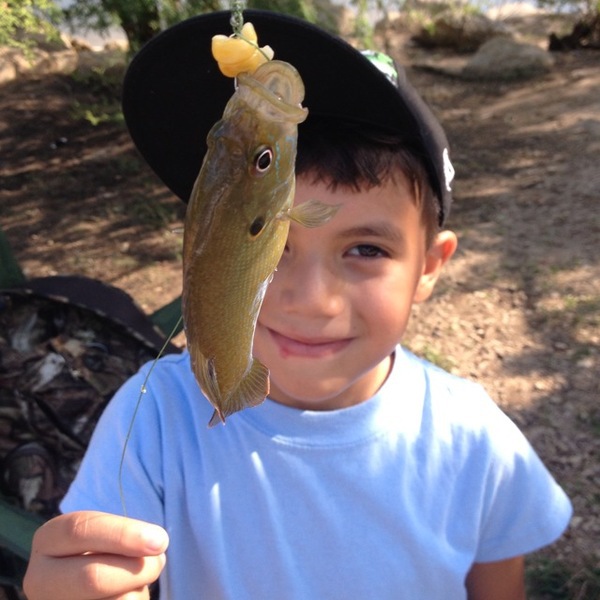 A photo of R0LANDSr's catch
