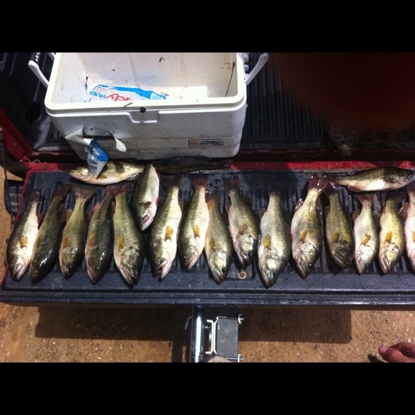 A photo of spencerragan's catch
