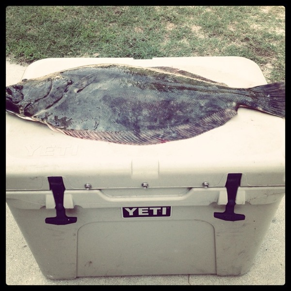 A photo of TravisFoxworth's catch