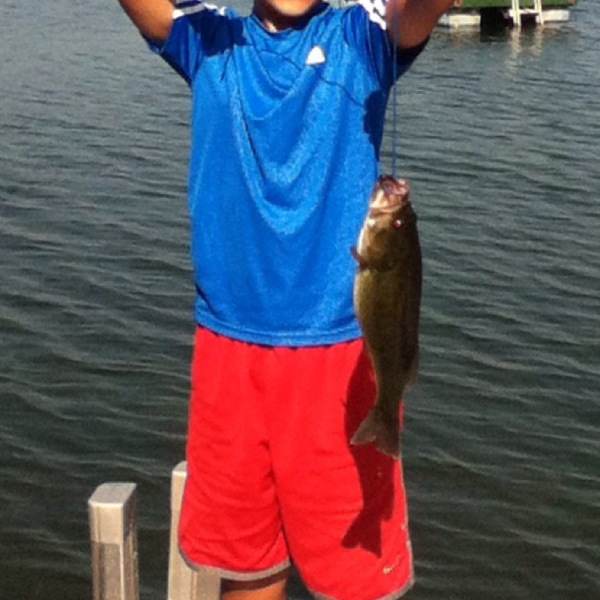 A photo of rapala101's catch