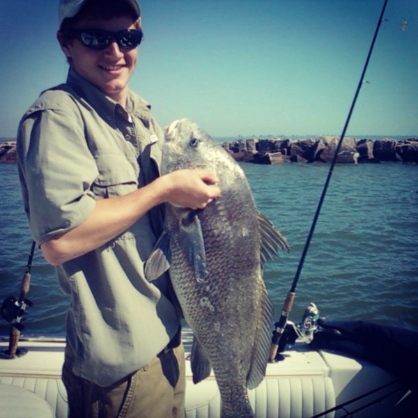 A photo of cmac41896's catch