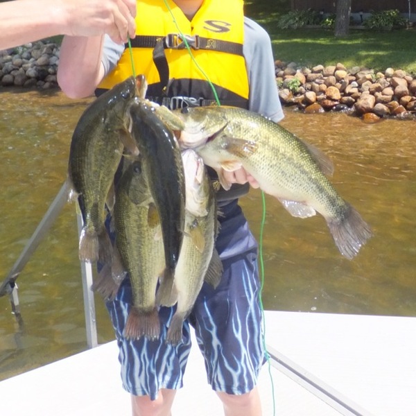 A photo of rapala101's catch