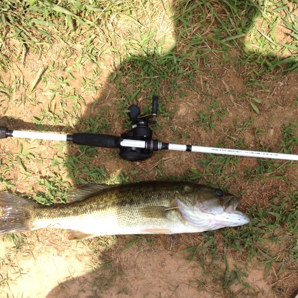A photo of Jacob Fleming's catch