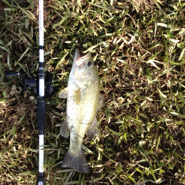 A photo of Jacob Fleming's catch