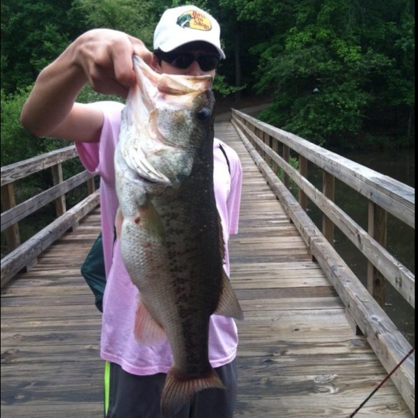 A photo of jonmullis12's catch