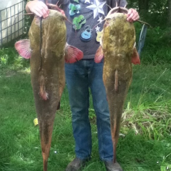 A photo of flat101's catch