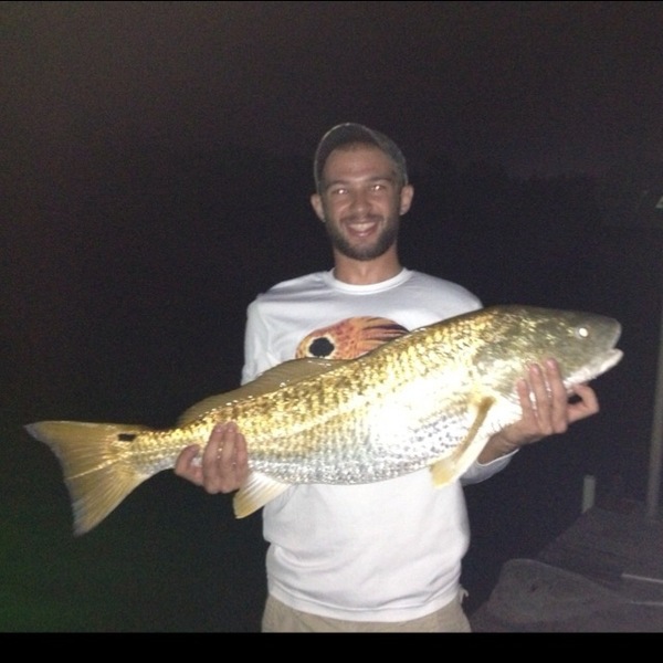 A photo of kviktorin's catch