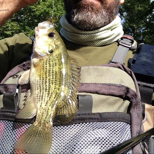 A photo of Andrew Andrew's catch