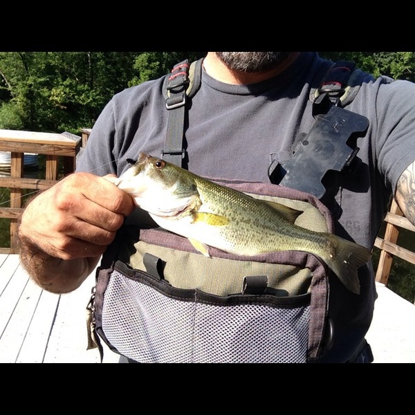 A photo of Andrew Andrew's catch