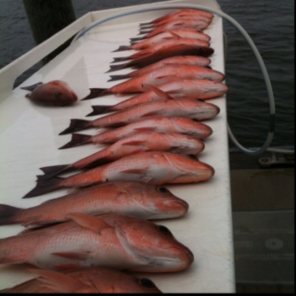 A photo of canon goar's catch