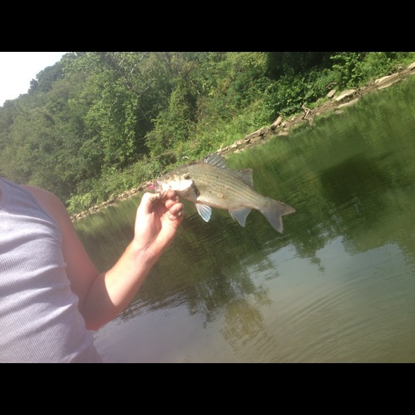A photo of drewduncan's catch