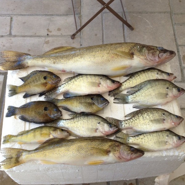 A photo of  collin  christopher's catch
