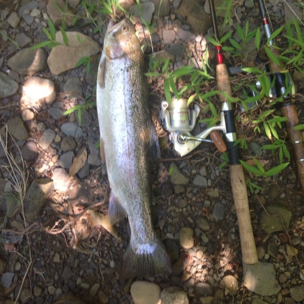 A photo of drewduncan's catch