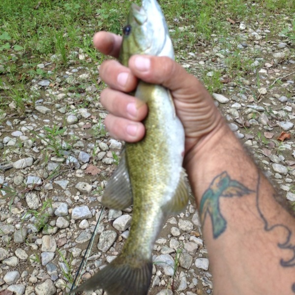 A photo of Andrew Andrew's catch