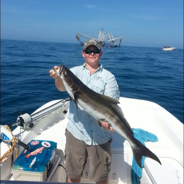 A photo of speckwrecker97's catch