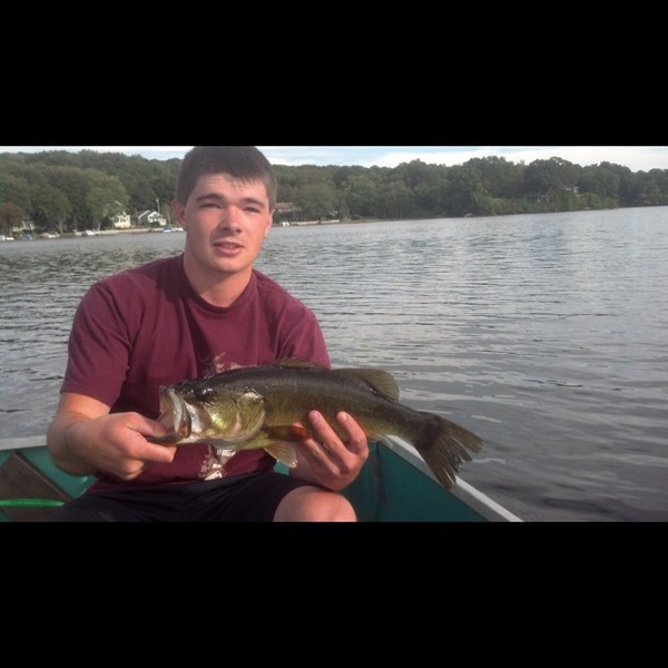 A photo of ndodg11259's catch