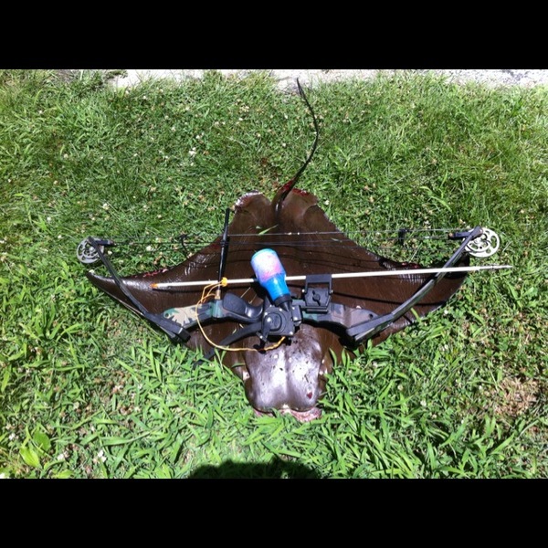 A photo of gage24's catch