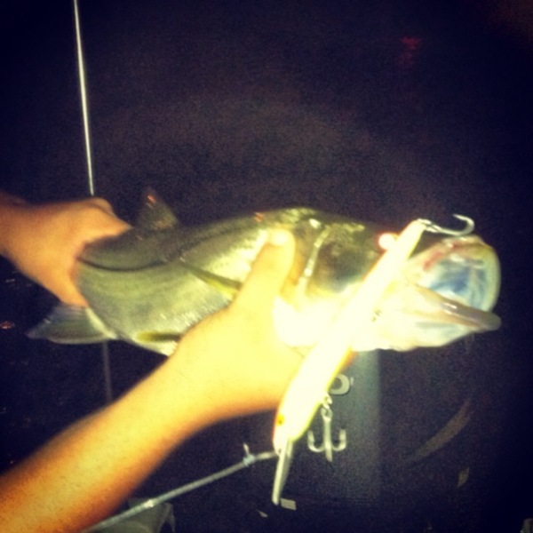 A photo of Todd Wynn's catch