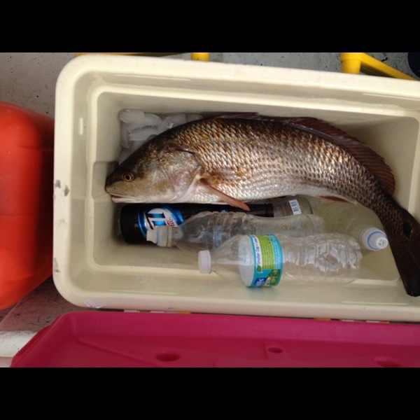 A photo of Barry  Liebovitz 's catch