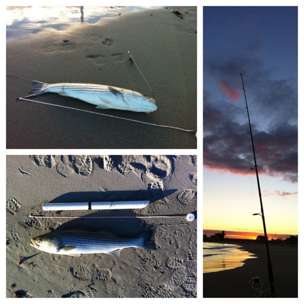 A photo of wnwsurf's catch