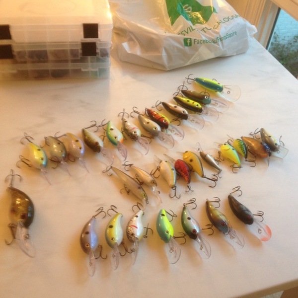 A photo of henrymcpherson's catch