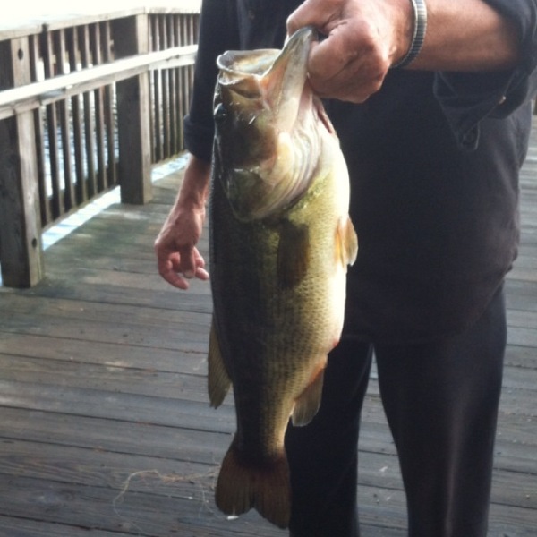 A photo of clamdaddysans's catch