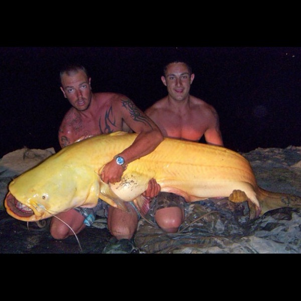 A photo of tcgtr4's catch