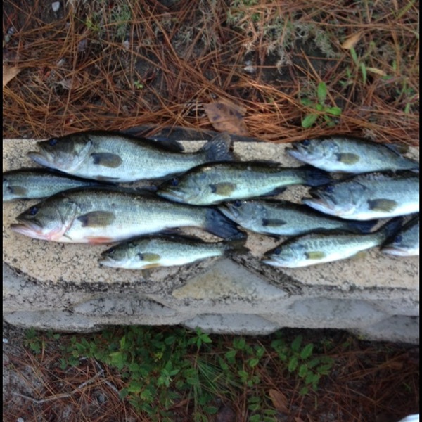 A photo of isaacormond's catch