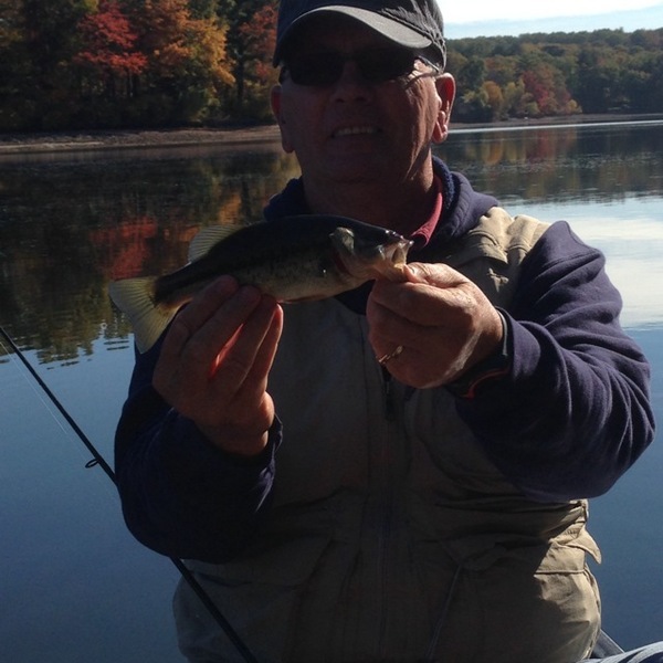 A photo of C.M.B 🇺🇸 Veteran.. Therapy on the Water!  🙏🏻's catch