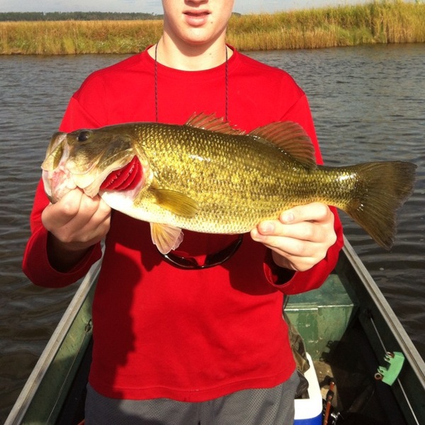 A photo of clarke_rush_'s catch