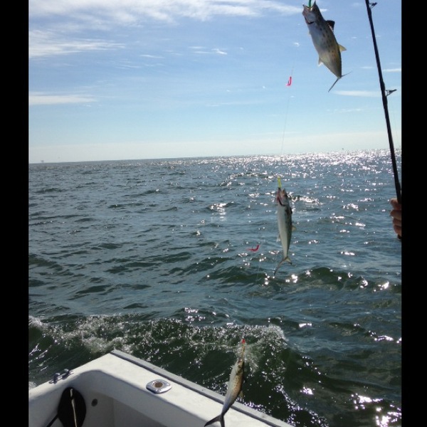 A photo of Robert Baugh's catch