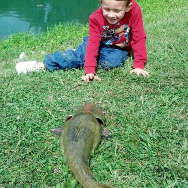 A photo of Brian  Mclucas 's catch