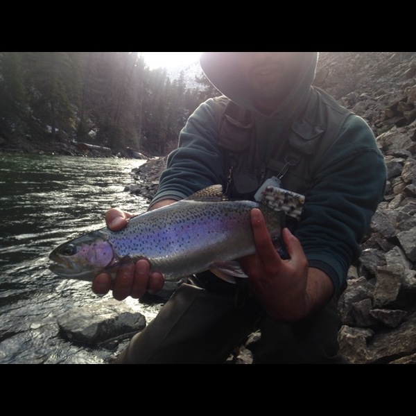A photo of bauzer's catch