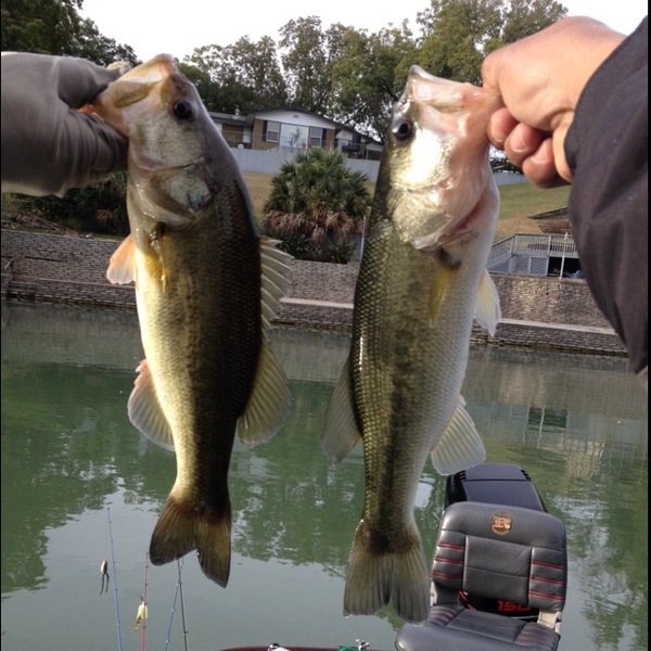 A photo of greatness627's catch