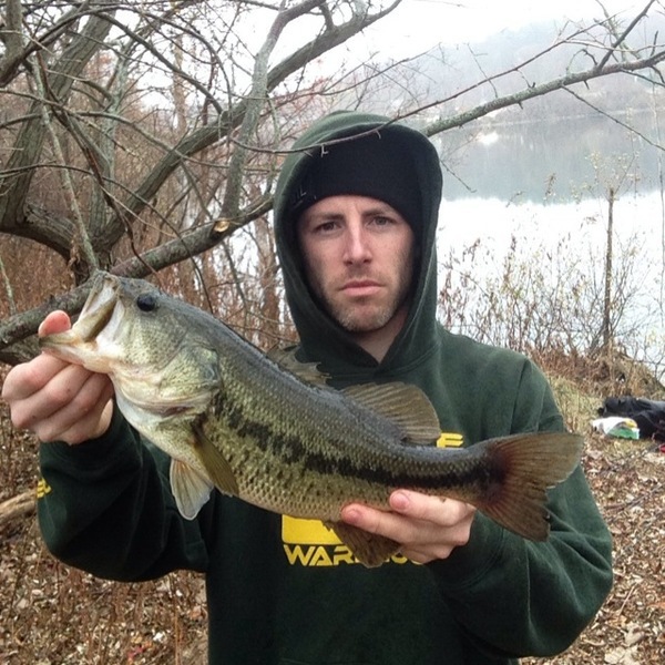 A photo of Anchors's catch