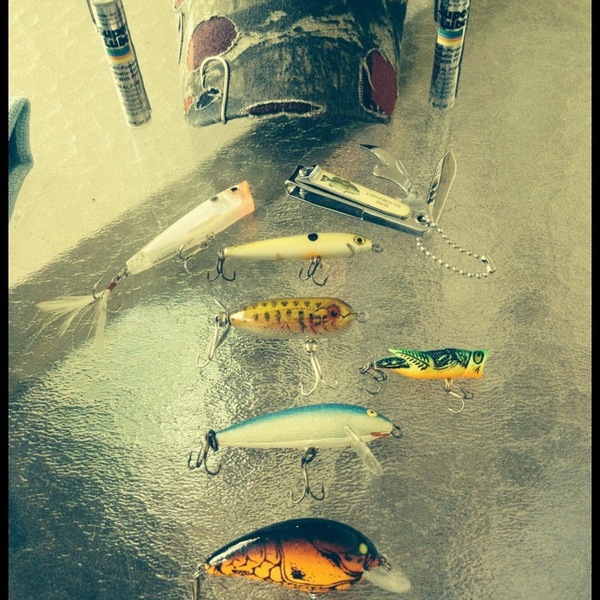 A photo of Fresh_Water_Fisher's catch