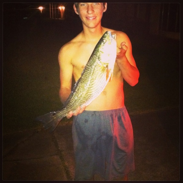 A photo of chasewarren25's catch