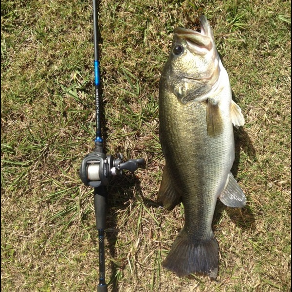 A photo of robbyscott's catch