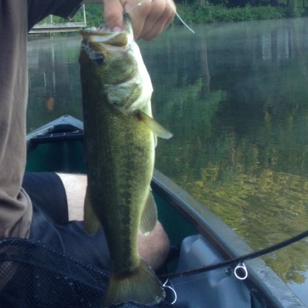 A photo of feisty06's catch