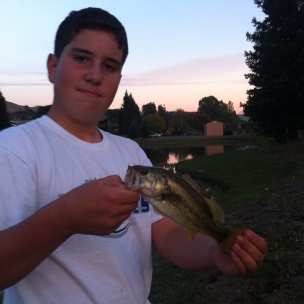 A photo of maxthrasher's catch
