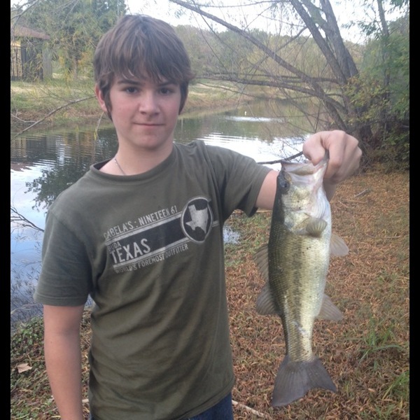 A photo of beeeeeeeeeeeeeeeen08's catch