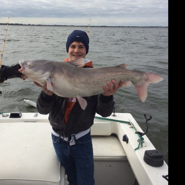A photo of carson2127's catch