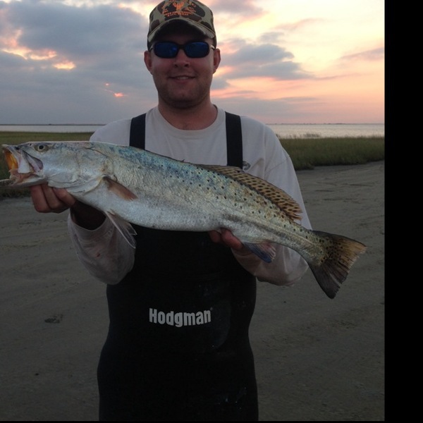 A photo of Clay868's catch