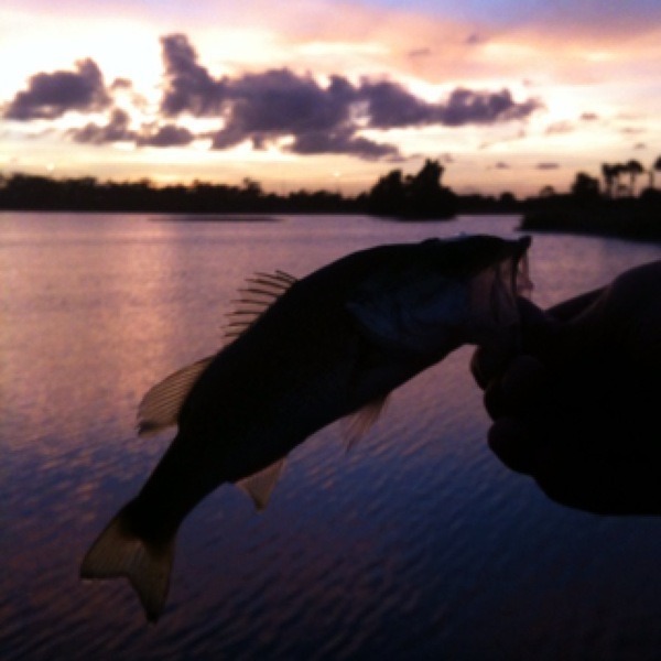 A photo of jake schwantes's catch