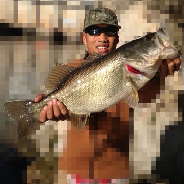A photo of VipopTBF's catch