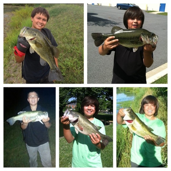 A photo of chrisbassmaster's catch
