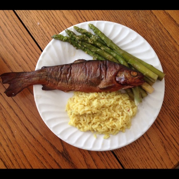 A photo of Shane_Mc's catch