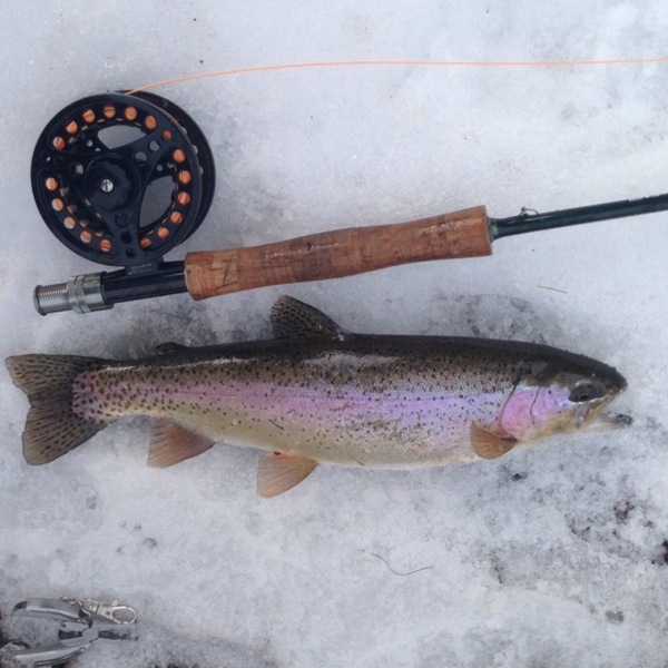 A photo of bauzer's catch
