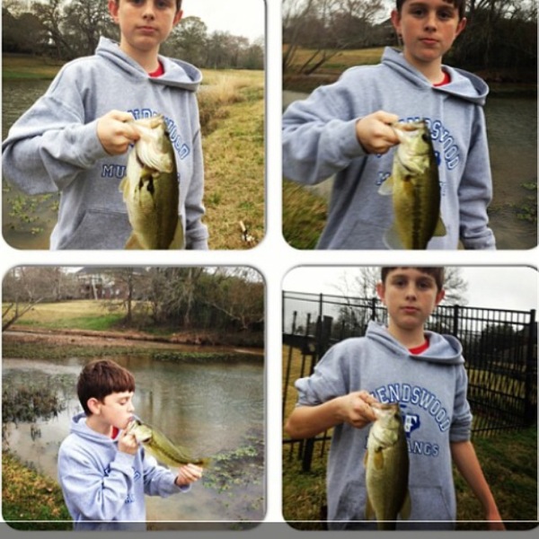 A photo of HarrisonWright996's catch